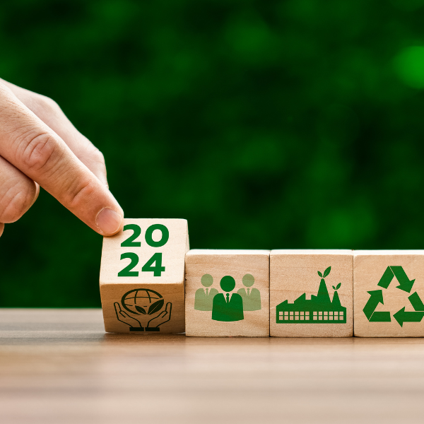 Embracing Sustainable Shipping: A Smart Move for Businesses and Consumers Alike