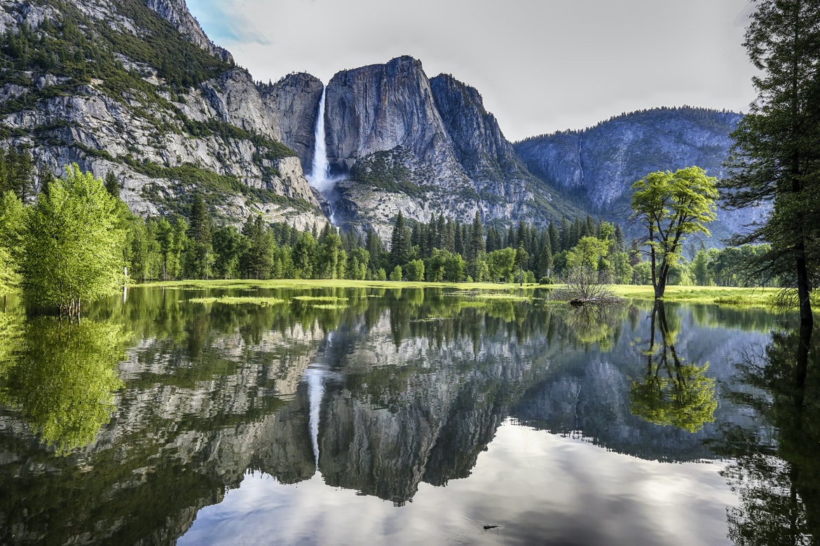 How to Identify Greenwashing and How to Avoid It